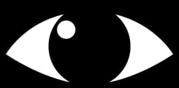 Vision